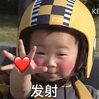 小金猪