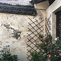 李泽賢