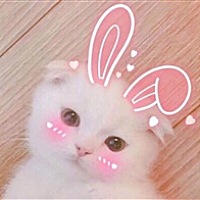 大丹