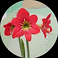 @乔治