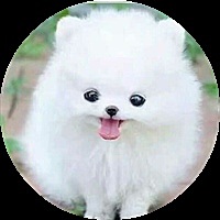 会撒娇的女人最可爱[帖主]