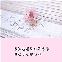 妲己🌸