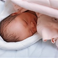 小虎牙