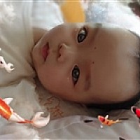 宸宝