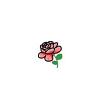 Amo。麦兜丶