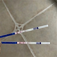 淡然一笑 。。。[帖主]