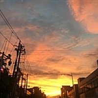 😮泡泡[帖主]