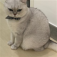 Ru.u