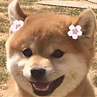 萌萌萌萌萌萌萌