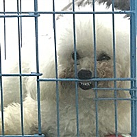 2013第三人称[帖主]