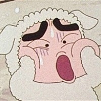 浴球