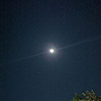 馨