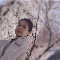 倾倾