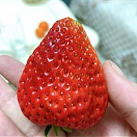 小岳妈妈