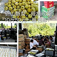 酥梨、罐头自产自销