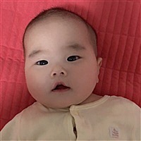 草莓、🍓