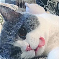 曹曹👸