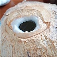 小可爱陌