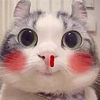 波雅·汉库克