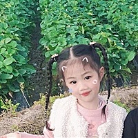 花开半夏