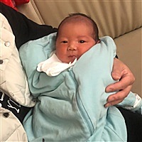 幸福猪恩恩宝贝