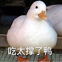 勾勾的宝贝