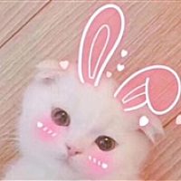 月月月