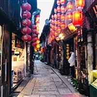 木木l