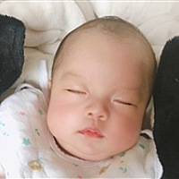 👑亚美宝宝
