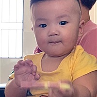 楷楷