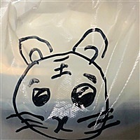 杨小厨ʕ•͡•ʔ