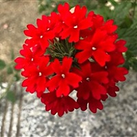 奔跑的蜗牛