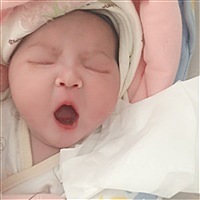家有鼠宝小七