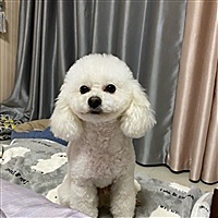 悠米妈