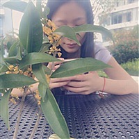 你妹是个好姑娘