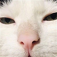 高高