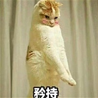 艾菲的