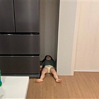 嘟妹儿萌宠妈咪