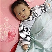 幽静雅致