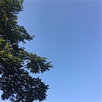 玫莉蔻娟娟¹⁵⁸¹⁴³⁶⁹⁵⁰³