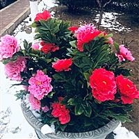 幸福呀