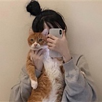 💫猫腻