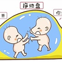 两只小金鼠