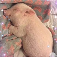 A💕湘