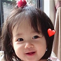 小陆韦