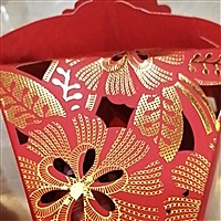 二胎女宝宝