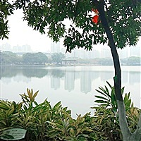 千百度.