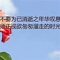 💖秀💕秀💕