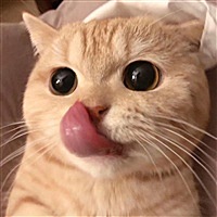 Niki