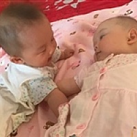 开开心心龙凤妈咪